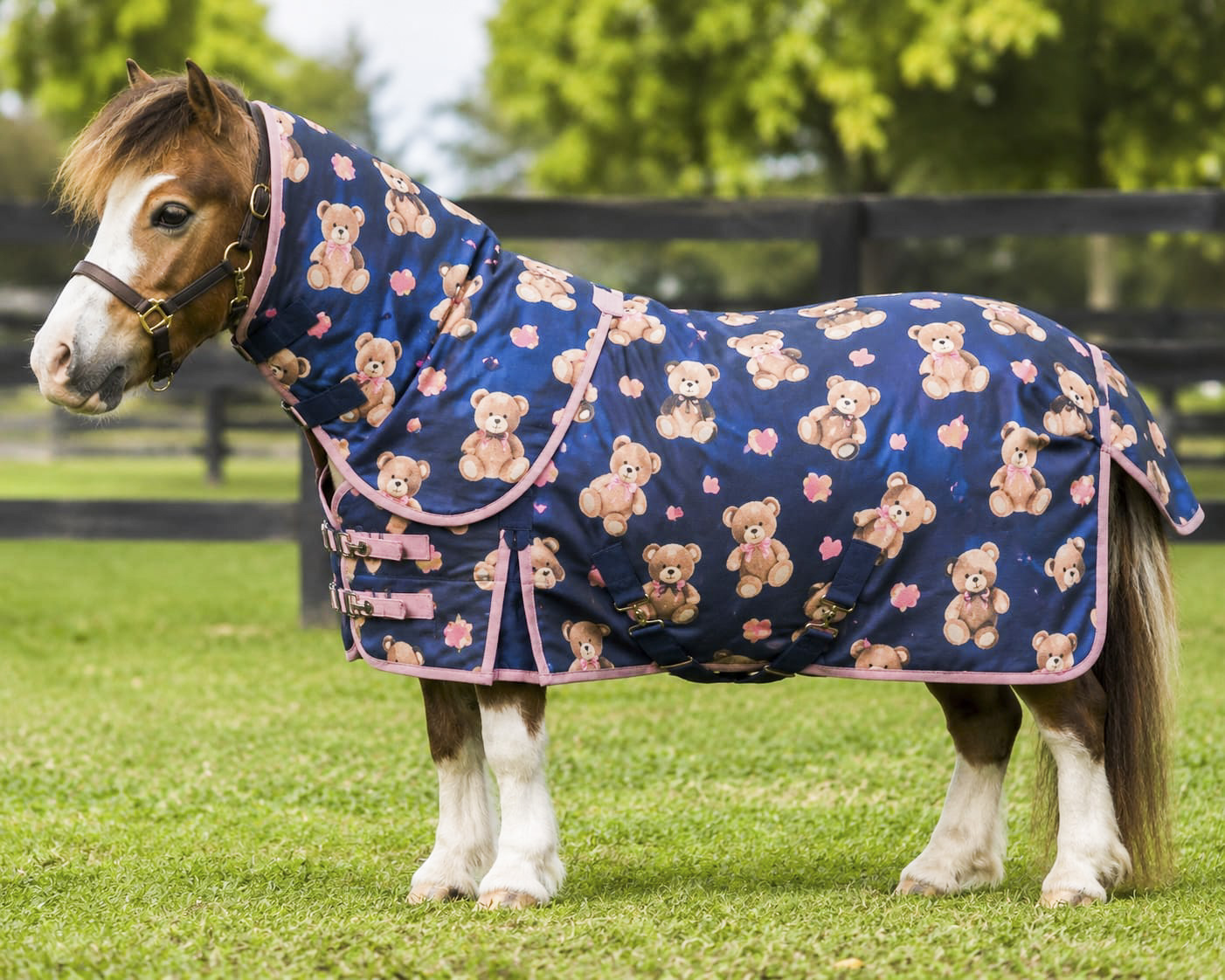 Teddy Turnout rug